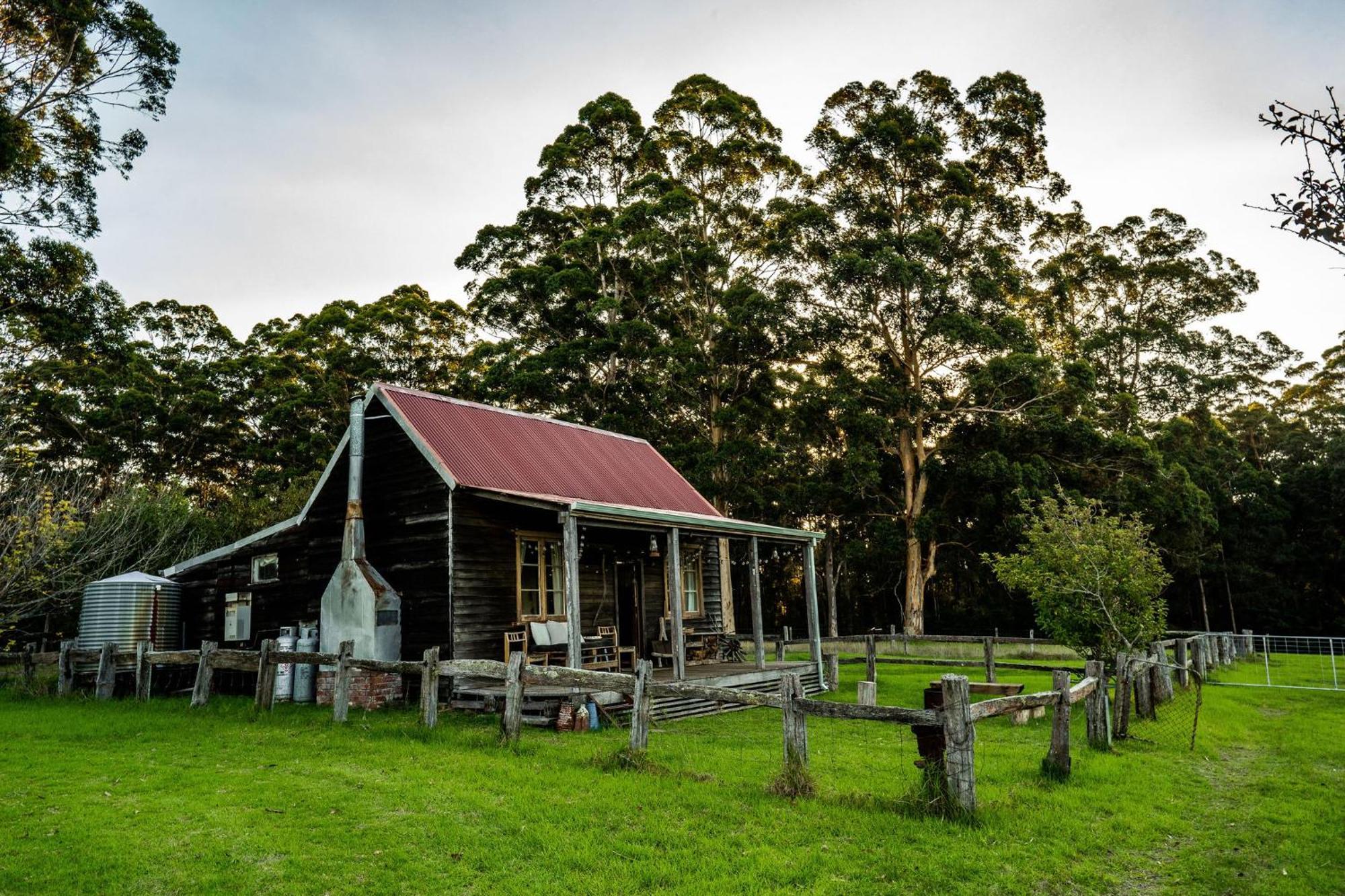 Cosy Farmstay: Green Cabin At Whispering Woods Beedelup Ngoại thất bức ảnh