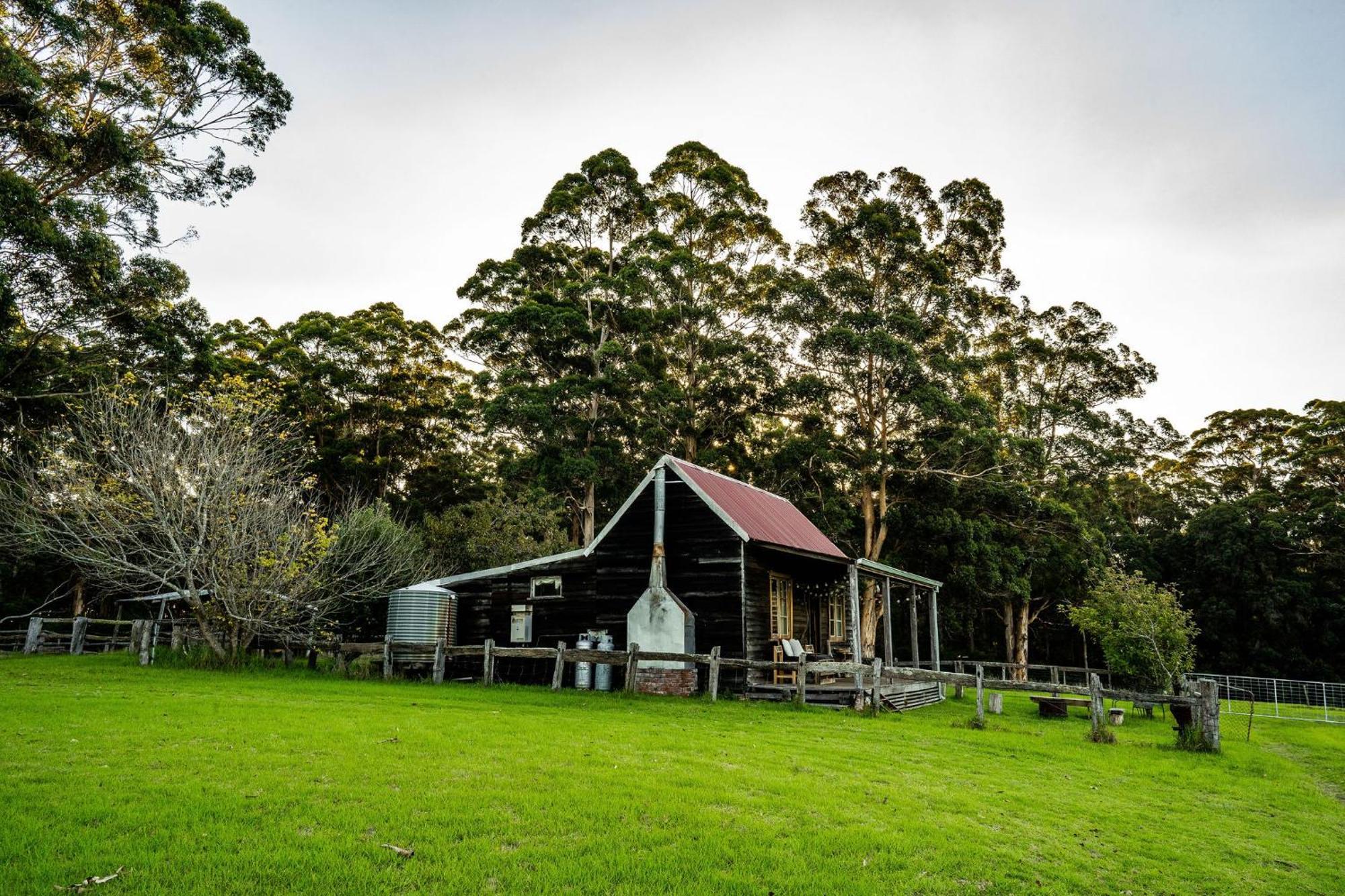 Cosy Farmstay: Green Cabin At Whispering Woods Beedelup Ngoại thất bức ảnh
